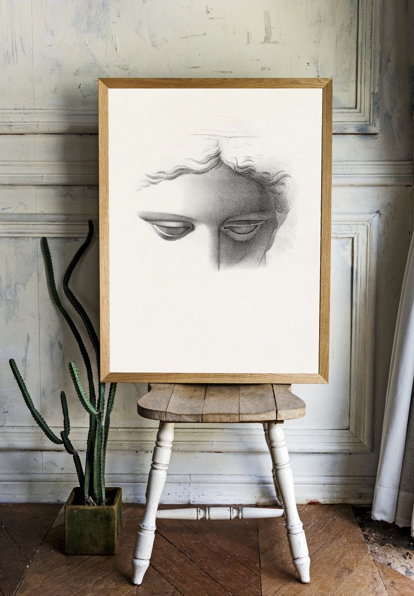 Apollo Belvidere, study showing forehead. room preview