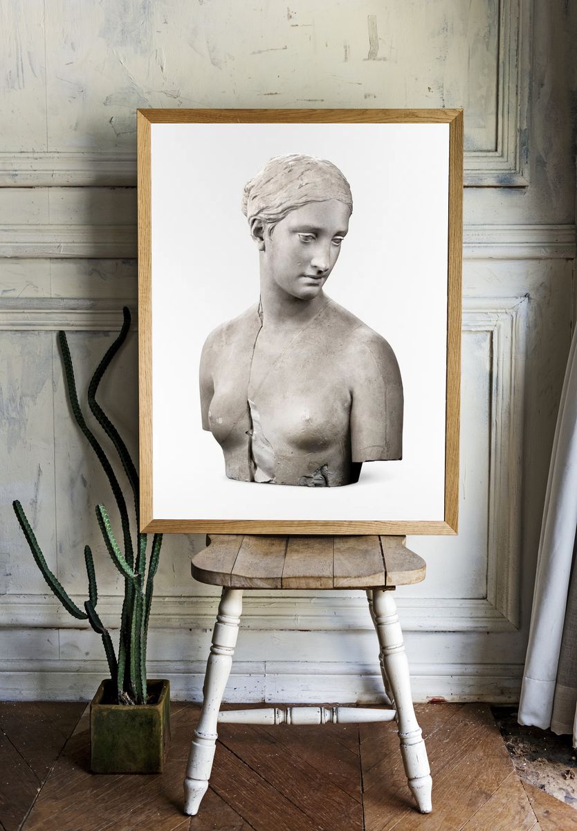 Classical Marble Bust Minimalist Print room preview
