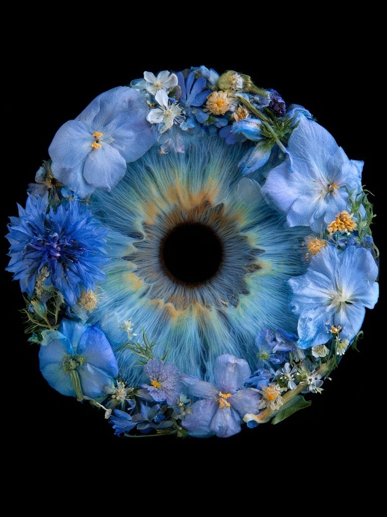 Blue Floral Eye Print. poster detail