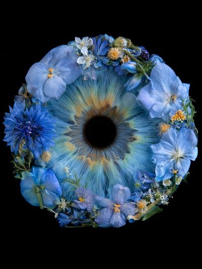 Blue Floral Eye Print. poster