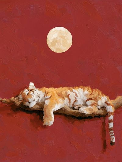 Sleeping Cat Moon Poster. poster