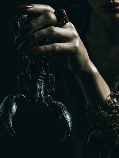 Dark Gothic Claw Portrait Poster. poster print