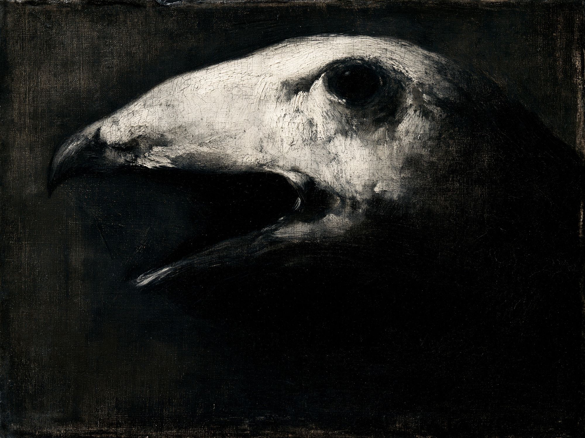 Raven Skull Dark Fine-Art Poster. poster — fine-art art
