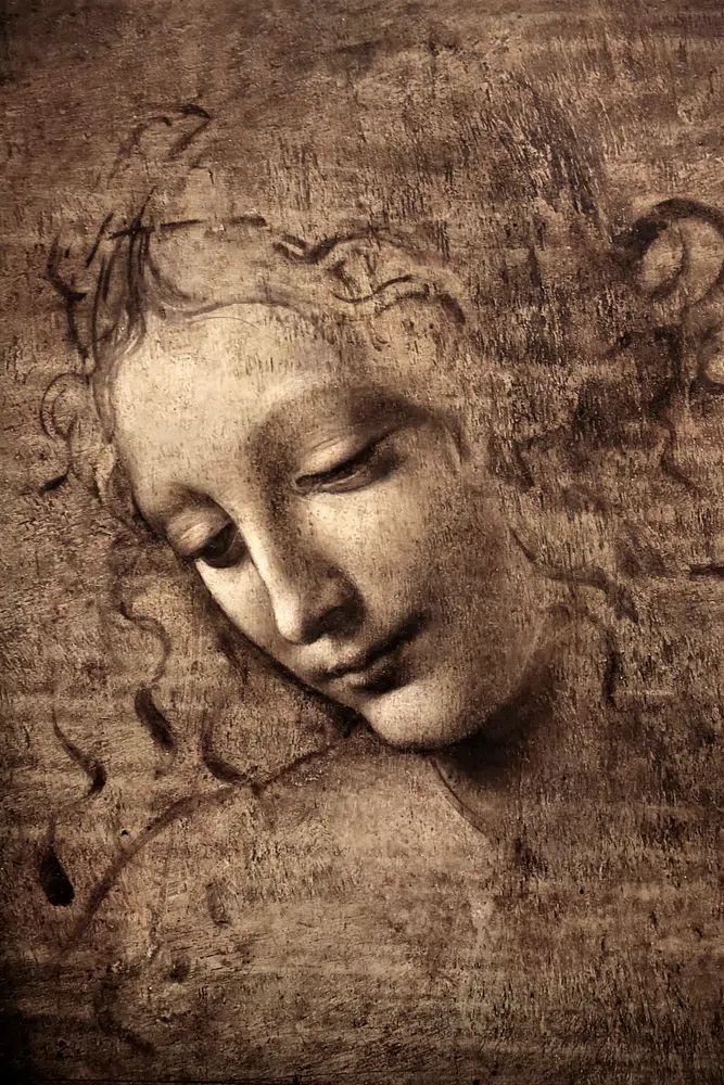 Leonardo da Vinci 's La. poster detail