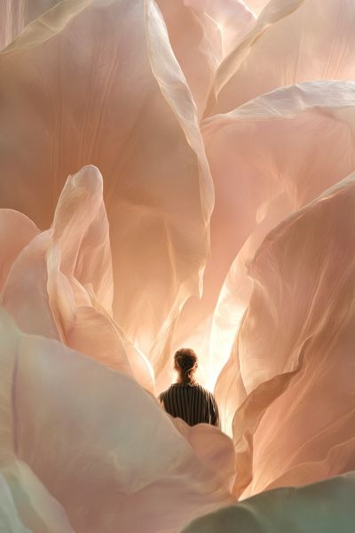 Dreamlike Flower Portrait Poster.