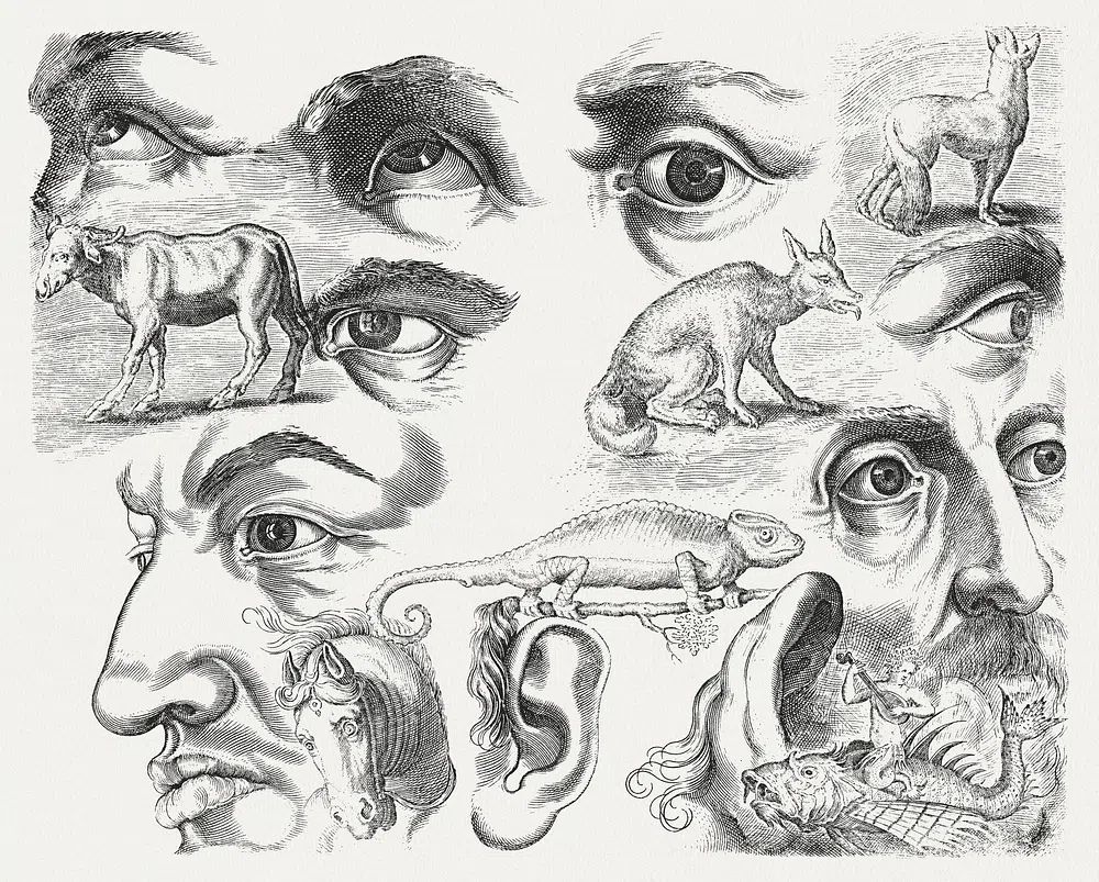 Studieblad met tekenvoorbeelden: ogen, koppen. poster detail