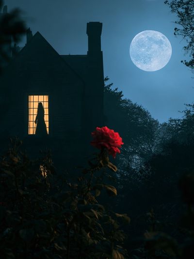 Moonlit House with Red Rose Poster.