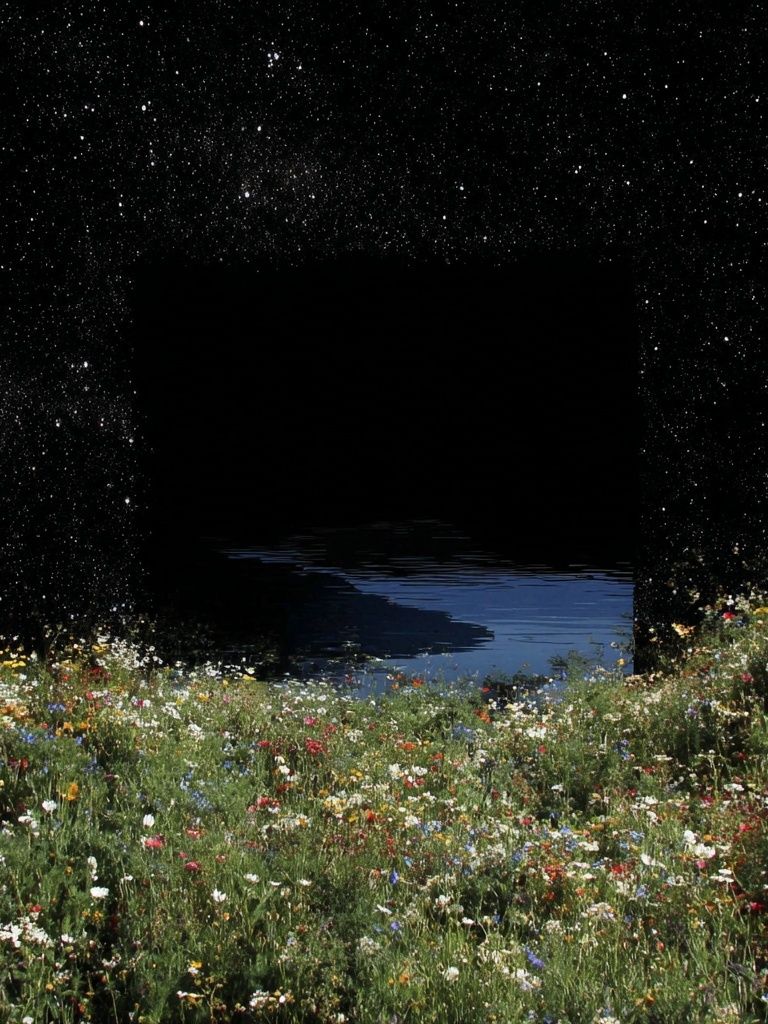 Starry Meadow Dreamscape Print. poster — fine-art art