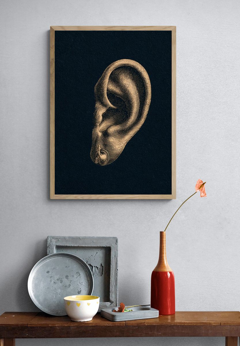 Vintage Ear Anatomy Print. — room view 3