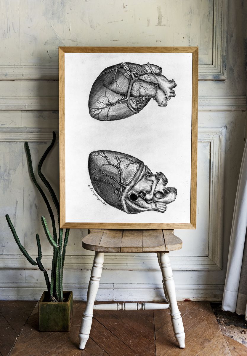 Drawing heart (1945) N. Ferneyhough. — room view 1