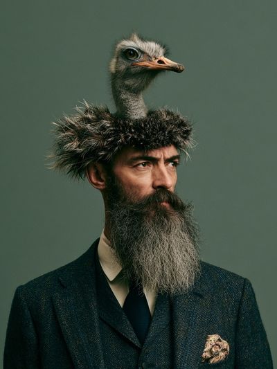 Surreal Ostrich Portrait Print. poster