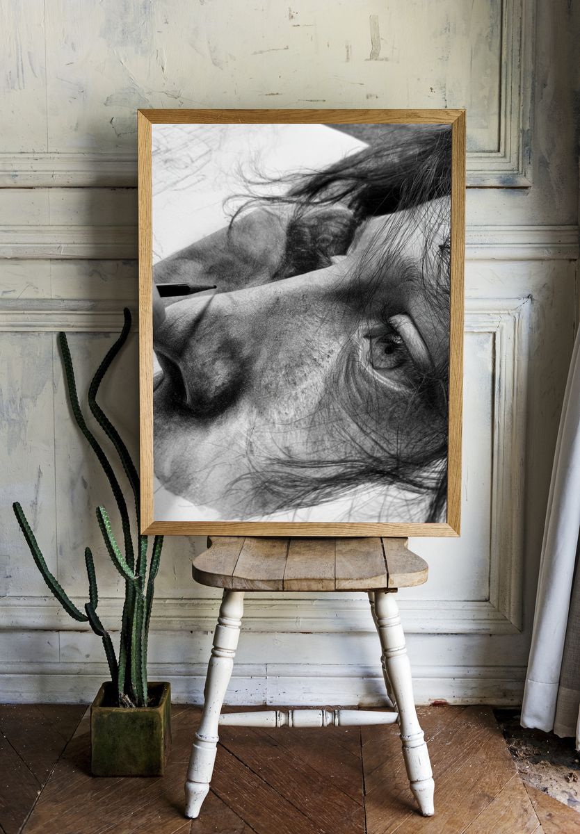 Charcoal Portrait Sketch Poster. — room view 1