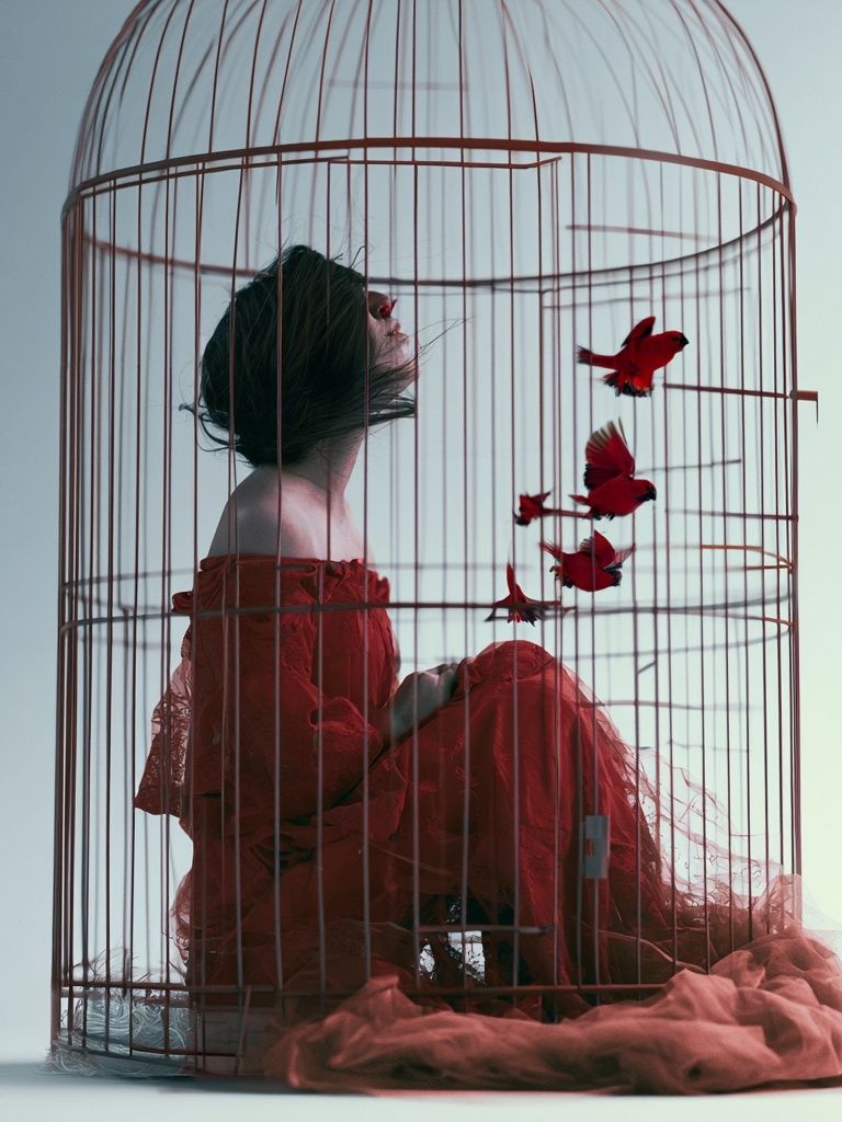 Birdcage Woman Surrealism Print. poster detail
