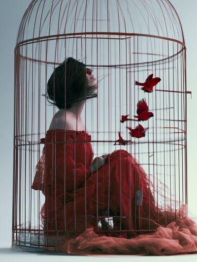 Birdcage Woman Surrealism Print.
