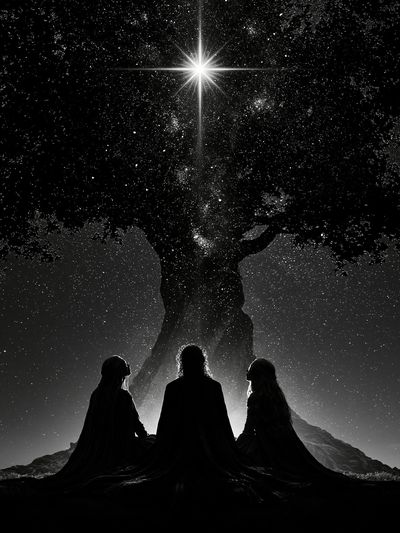 Celestial Tree Silhouette Print.