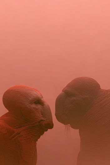 Red Monks in Mist Poster. poster — fine-art art