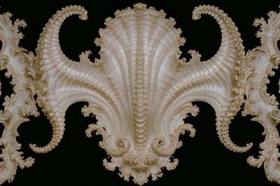 Baroque Shell Ornament Print. poster