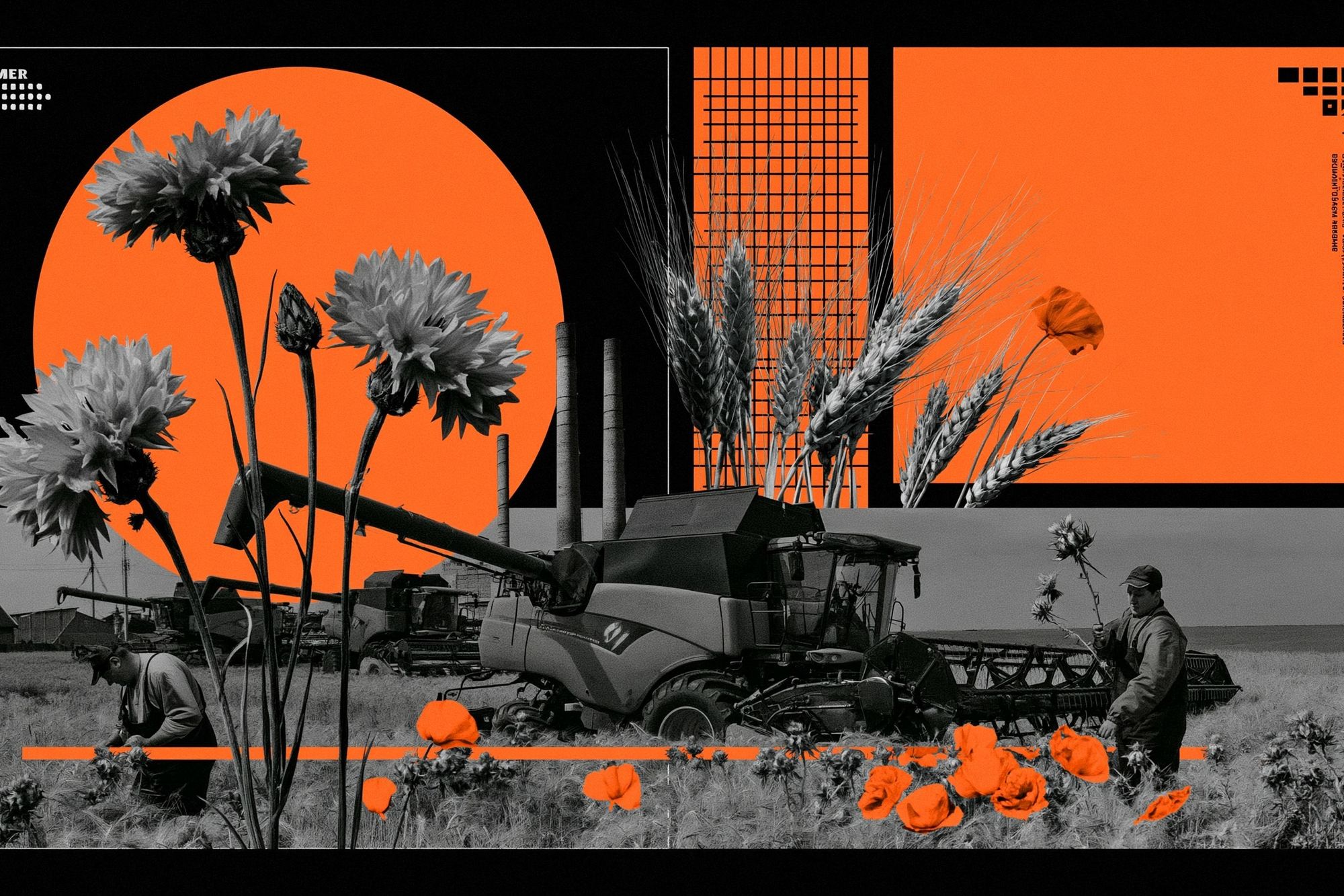 Harvest Summer Collage Poster. poster detail