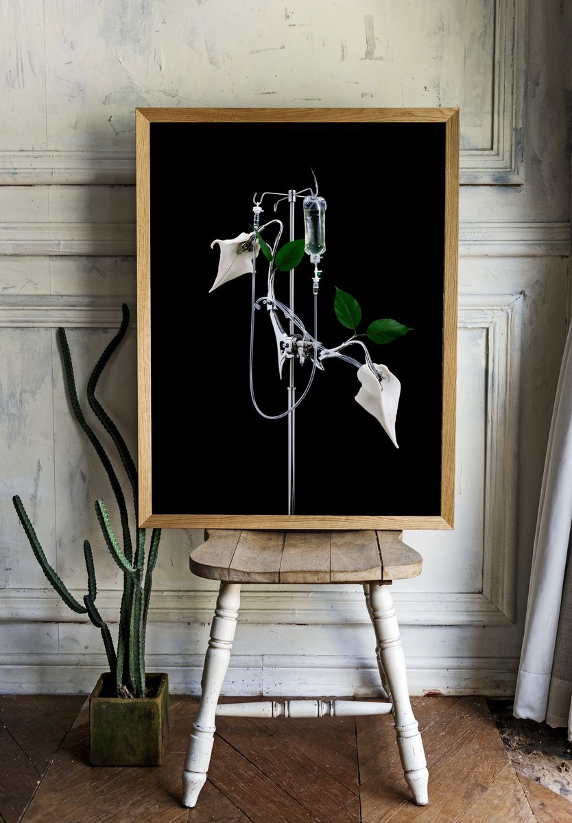 Surreal IV Plant Still Life Poster. room preview