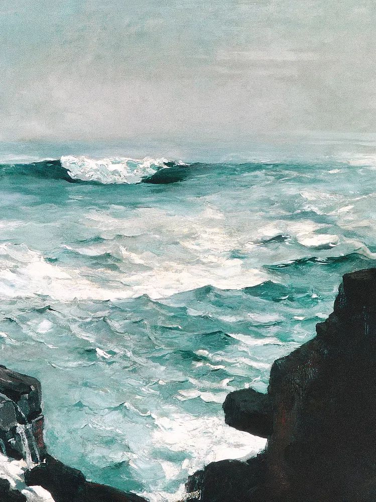 Cannon Rock (1895) Winslow Homer. poster — fine-art art