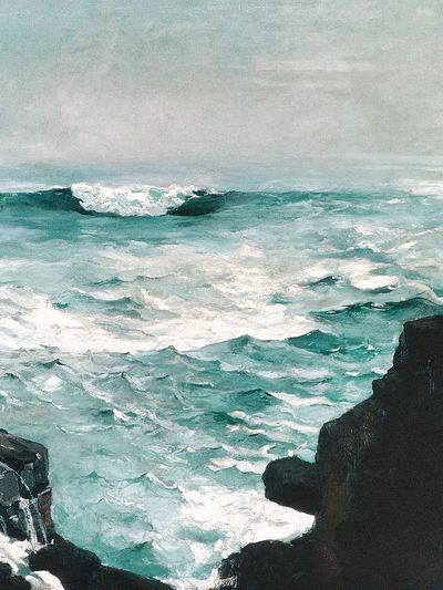 Cannon Rock (1895) Winslow Homer. poster print