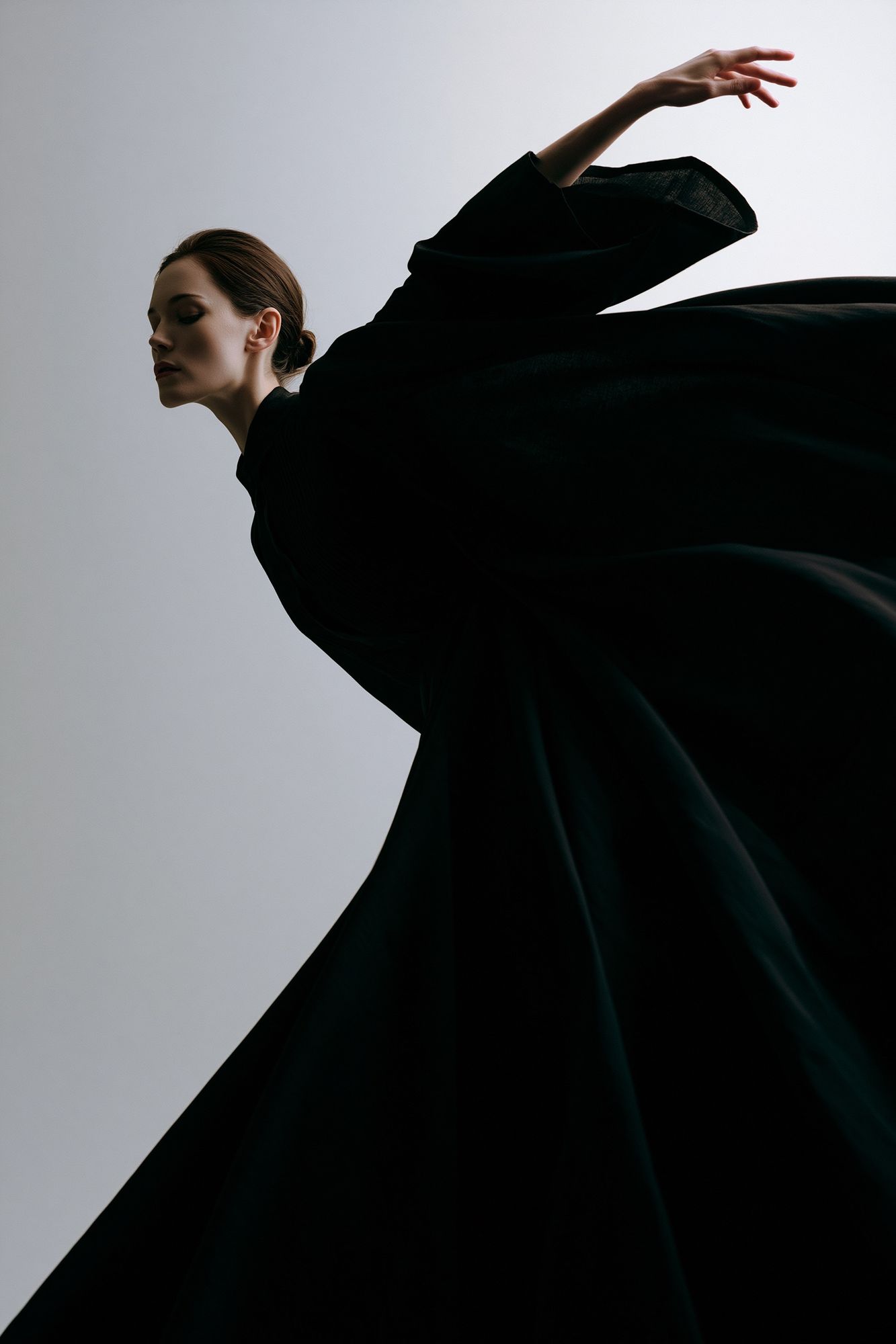 Elegant Fashion Silhouette Poster. poster detail