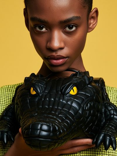 Fashion Portrait with Crocodile Bag Poster. poster