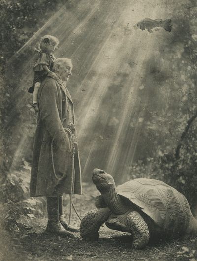 Surreal Forest Encounter Print. poster