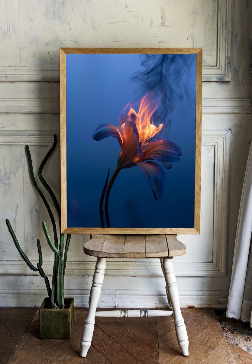 Burning Lily Surrealism Print. room preview