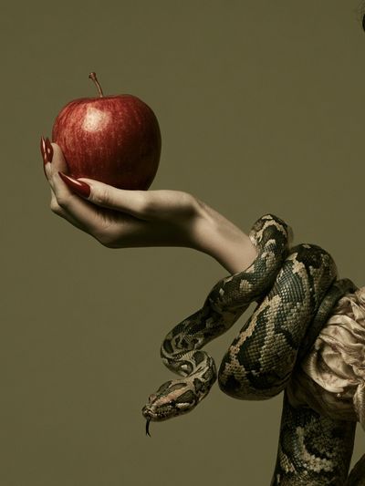 Snake and Apple Surrealism Print. poster