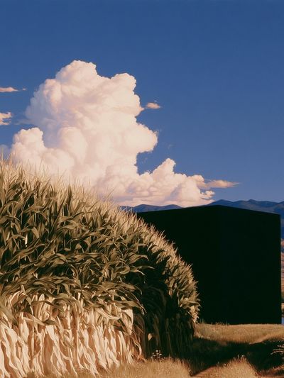 Surreal Cornfield Landscape Print.