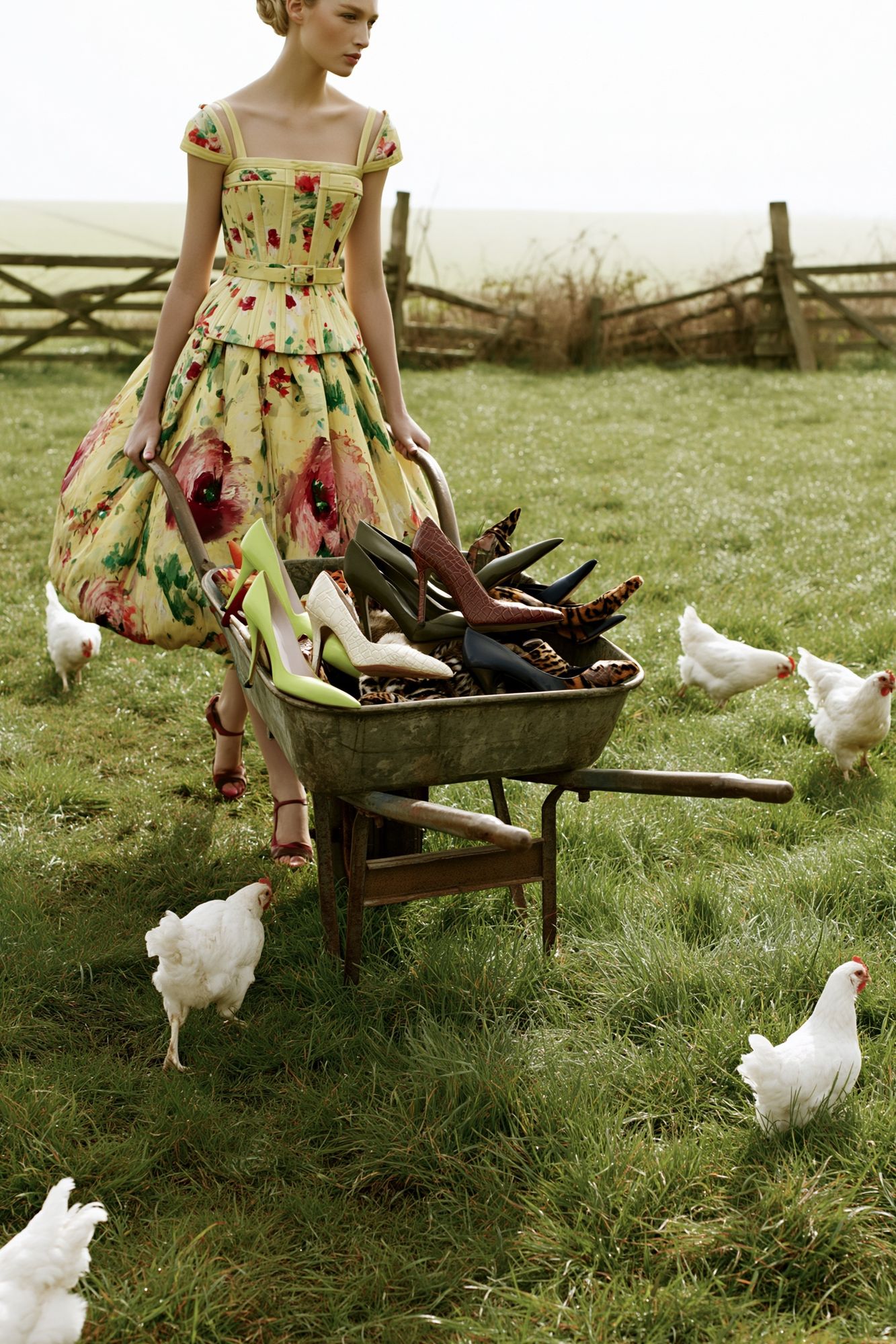 Fashion Garden Wheelbarrow Poster. poster detail