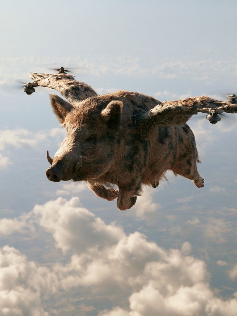 Flying Boar Surrealism Print. poster — fine-art art