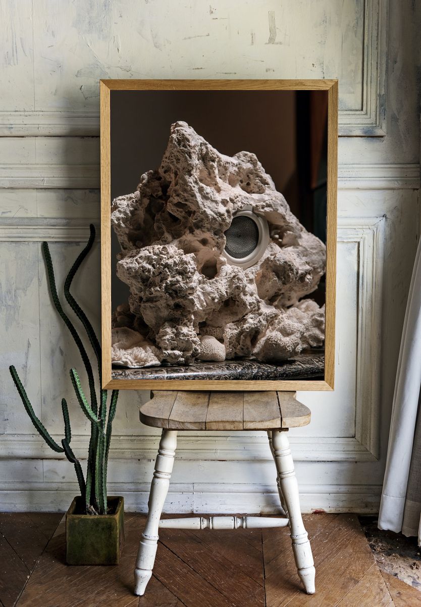 Coral Speaker Sculpture Print. — room view 1