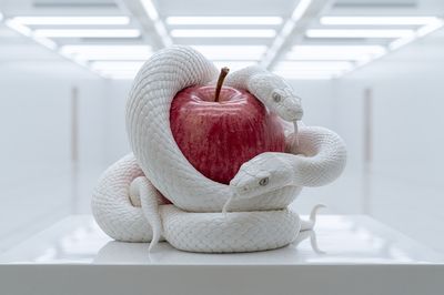 White Snakes and Red Apple Print. poster print