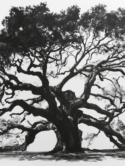 Ancient Tree Ink Poster. poster