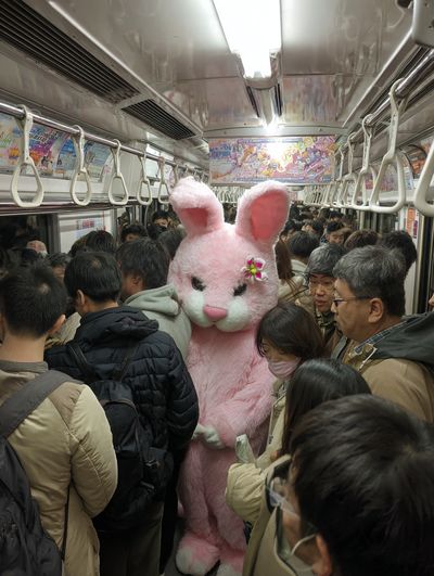 Pink Bunny in Subway