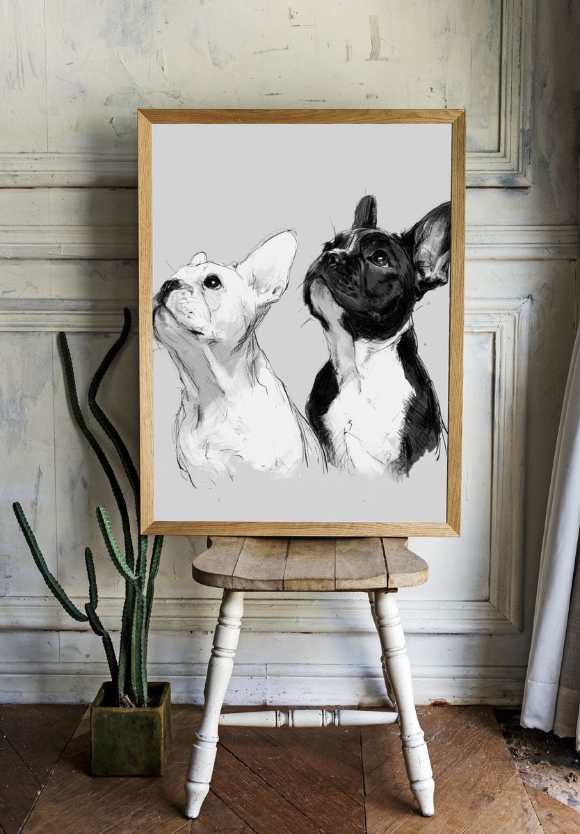 French Bulldogs Sketch Poster. — room view 1