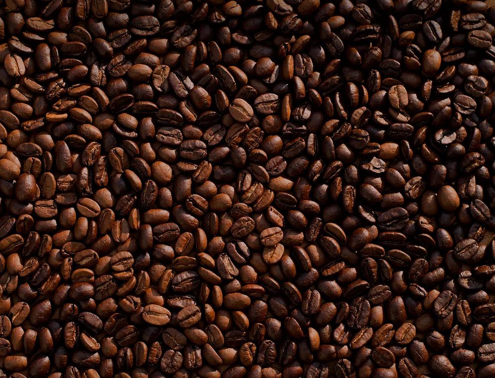 Coffee bean lot. poster — food-drink art
