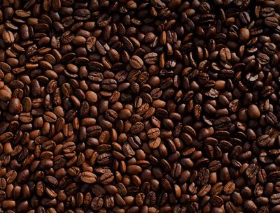 Coffee bean lot. poster print