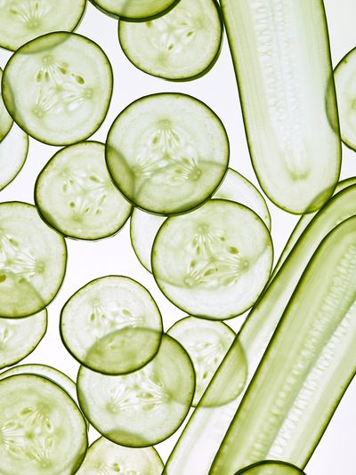 Cucumber Slices Botanical Print. poster