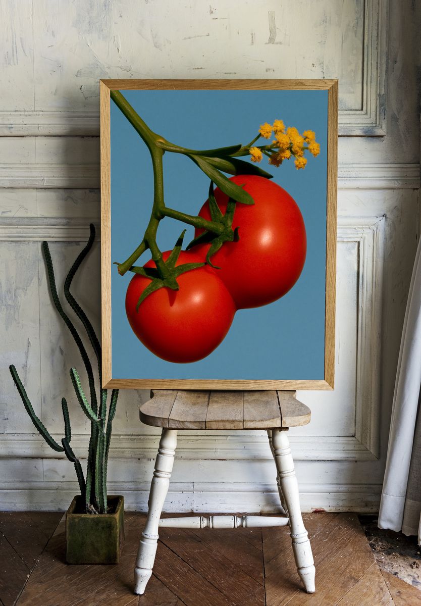 Tomato Still Life Photography Poster. — room view 1