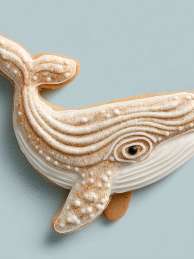 Whale Cookie Illustration Poster. poster print