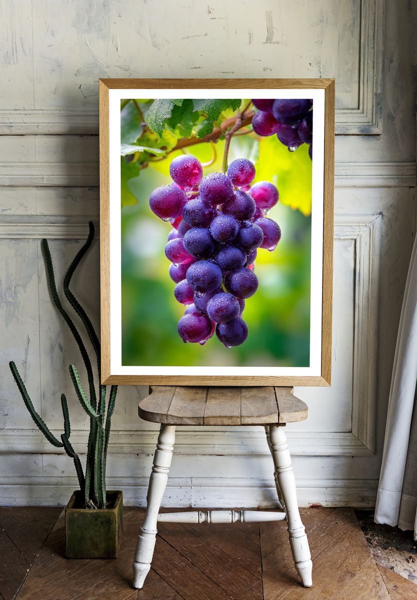 Fresh Grapes — Food Photography Print. — room view 1