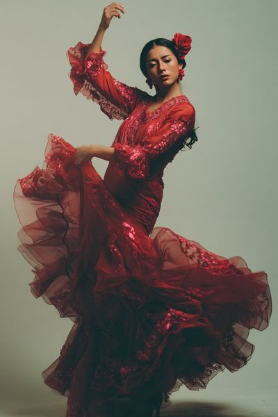 Flamenco Dancer in Red Dress Poster. poster print