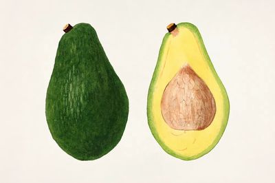 Avocados (Persea) (1937) anonymous. Original.