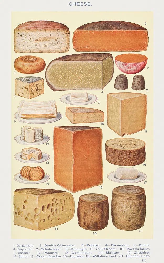 Cheeses: Gorgonzola, Double Gloucester, Koboko. poster — food-drink art