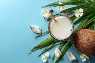 Tropical Coconut Still Life Poster. poster print