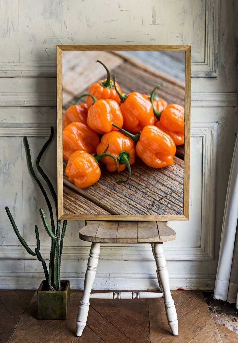 Orange Habanero Peppers Photography Poster. — room view 1