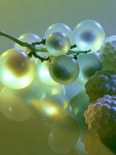 Glowing Grapes Still Life Print. poster detail